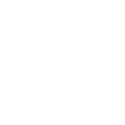 ce logo Lynn